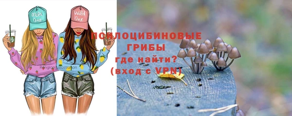 твердый Армянск