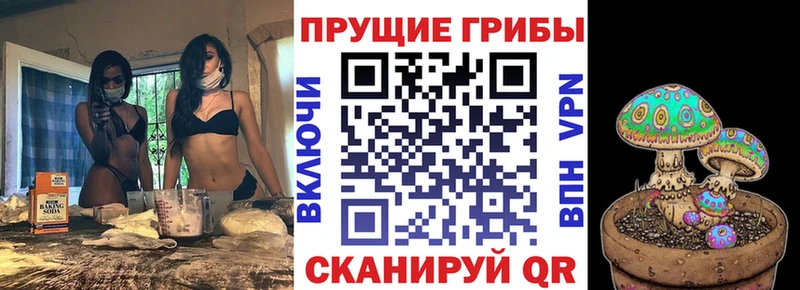 Купить закладки  Бородино  Галлюциногенные грибы ЛСД 